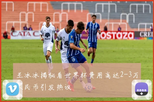 王冰冰揭秘看世界杯费用高达2-3万人民币引发热议